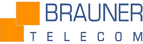 logo_brauner_trans